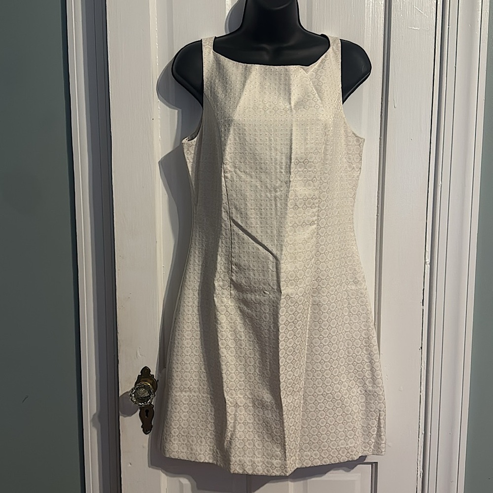 Banana Republic Cream Mini Dress Elegant and Versatile size 8